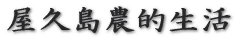 v炵 