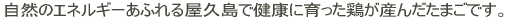 GlM[ӂ鉮v
