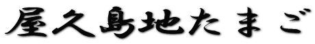 vn܂