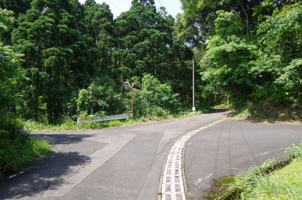 楠川歩道